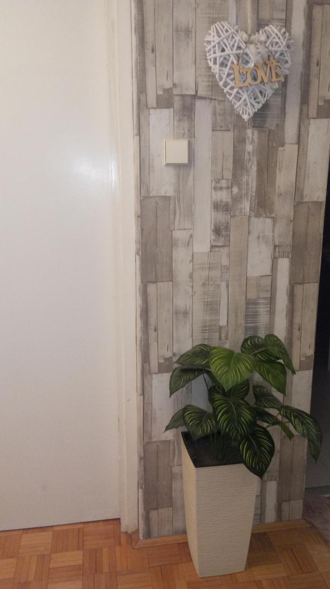 Apartment Mrc , Free Parking Bezanija Exterior foto